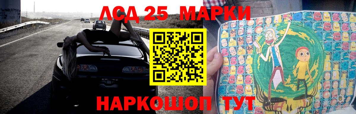 Галлюциногенные грибы Губкин