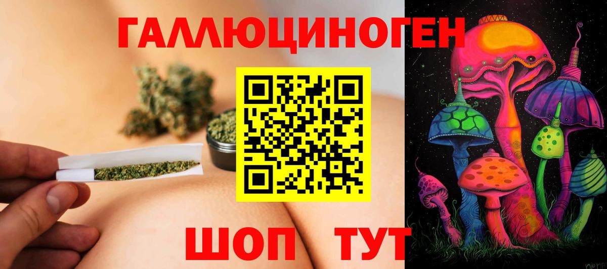 Галлюциногенные грибы прущие грибы Губкин