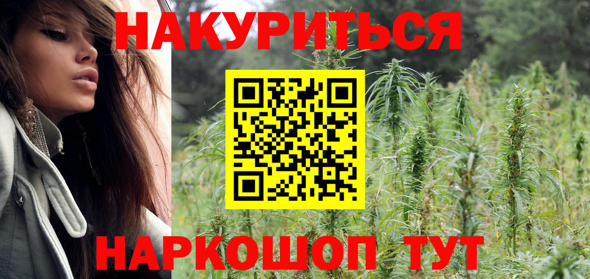 Бошки Шишки SATIVA & INDICA Губкин